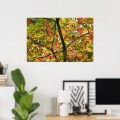 Poster Une Transition Délicate Des Feuilles D'Automne (Bureau à domicile)