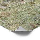 Poster Une vache et son veau..... (Coin)