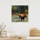 Poster Une vache et son veau..... (Cuisine)