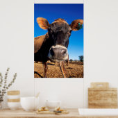 Poster Une vache jersey curieuse (Cuisine)
