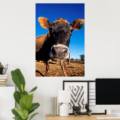 Poster Une vache jersey curieuse (Bureau à domicile)