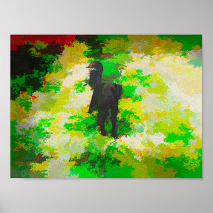 Poster Une variation de couleur d'un chien noir nommé Smo