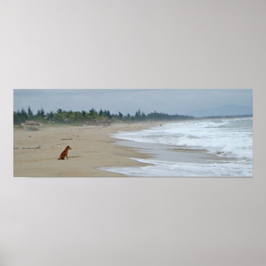 Poster Une vie de chien (Devant)