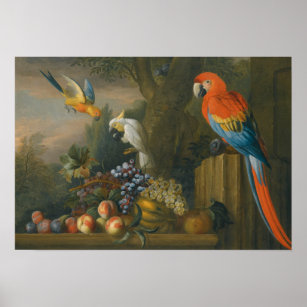 Poster Une vie morte avec des fruits, des perroquets et u