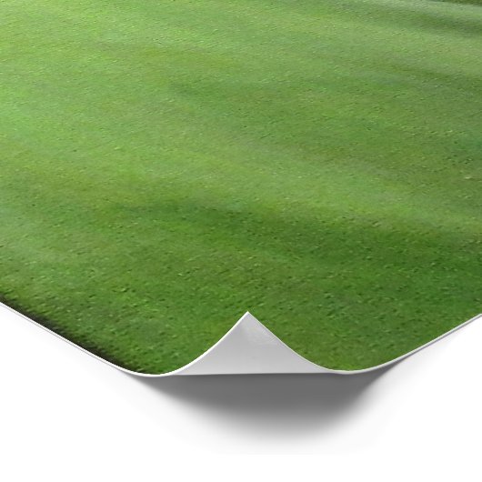 Poster Une Vintage dame classique (Coin)