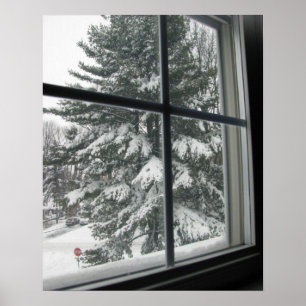 Poster Une vue depuis la fenêtre d'un arbre à feuilles pe