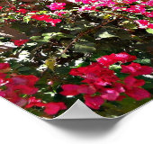 Poster Une vue parfaite (Coin)