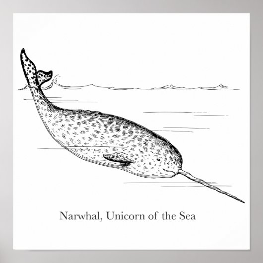 Poster Unicorne de baleine de Narwhal de la mer (Devant)
