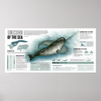 Poster Unicorne de la mer