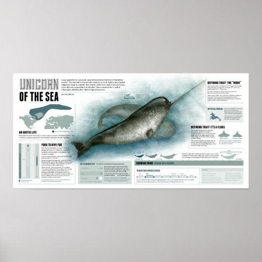 Poster Unicorne de la mer (Devant)