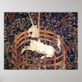 Poster Unicorne En Captivité (Devant)