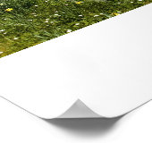 Poster Unicorne et fées (Coin)