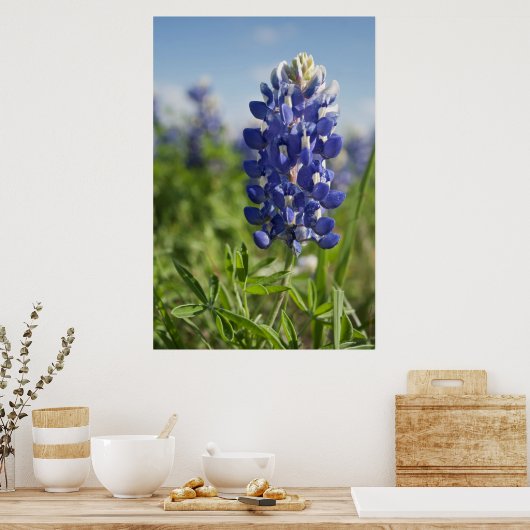 Poster unique Bluebonnet Texas (Cuisine)