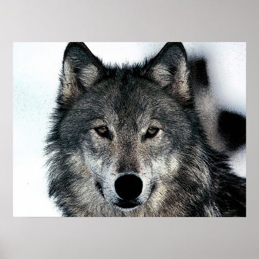 Poster Unique Motivationnel Freedom Wolf (Devant)