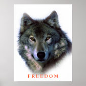 Poster Unique Motivationnel Freedom Wolf (Devant)