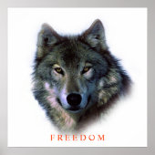 Poster Unique Motivationnel Freedom Wolf (Devant)