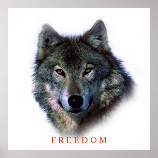 Poster Unique Motivationnel Freedom Wolf (Devant)