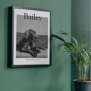 Poster Unique Pet Portrait Magazine Photo personnalisée