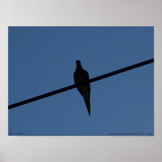 Poster Uniquement (Devant)