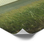 Poster Uniquement du maïs pour l'entreprise (Coin)