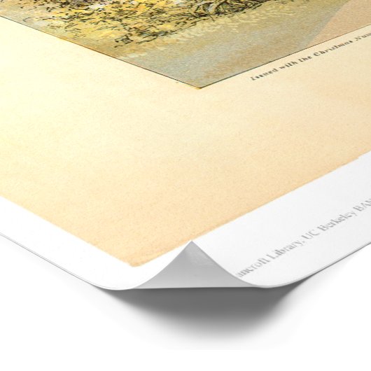 Poster Université (0828A) - Restaurée (Coin)