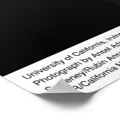 Poster Université de Californie, Irvine, avril 1967 (Coin)