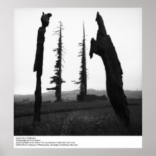 Poster Université de Californie par Ansel Adams