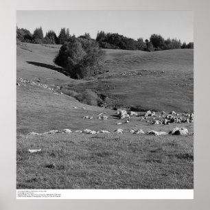 Poster Université de Californie, Père Noël Cruz, 1963