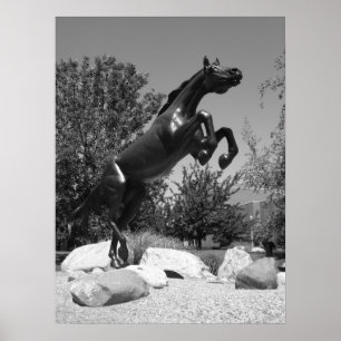 Poster Université occidentale du Michigan, Kalamazoo, MI