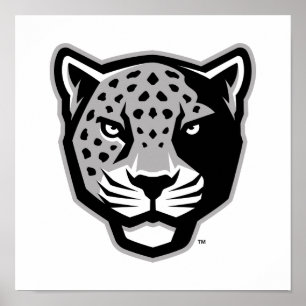 Poster Université Texas A&M de San Antonio   Jaguars