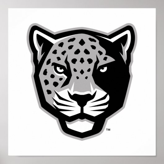 Poster Université Texas A&M de San Antonio | Jaguars (Devant)