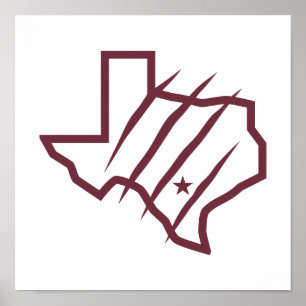 Poster Université Texas A&M de San Antonio   Logo d'état
