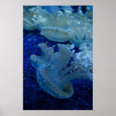 Poster "Updown Jellyfish" (Devant)