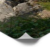 Poster Upper Lake, Killarney Imprimer (Coin)