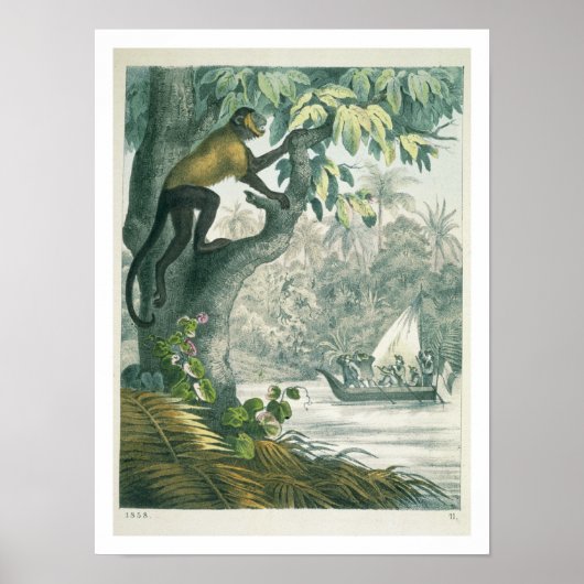 Poster Upper reaches of the Amazon, from 'Le Livre des We (Devant)
