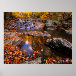 Poster Upper Whiteoak Falls, Parc national de Shenandoah,
