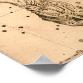 Poster Uranometria Orion Johann Bayer (Coin)