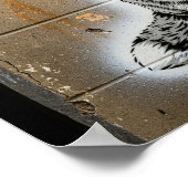 Poster Urbaine Fox (Coin)