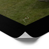 Poster Urbania no 3 (Coin)