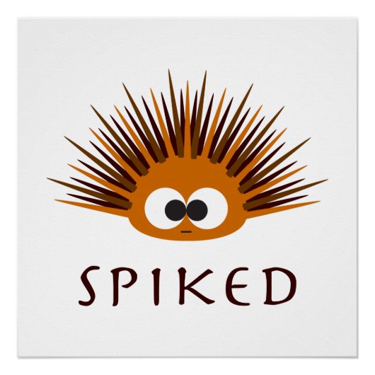 Poster Urchine de mer orange mignonne (Devant)