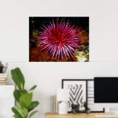 Poster Urchine de mer violette (Bureau à domicile)