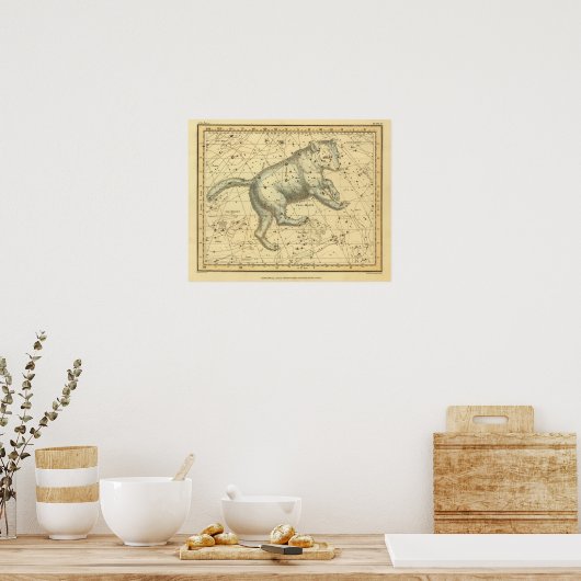 Poster Ursa Major (Cuisine)
