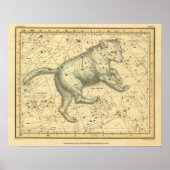 Poster Ursa Major (Devant)