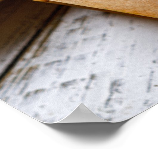 Poster US Founding Documents (Coin)