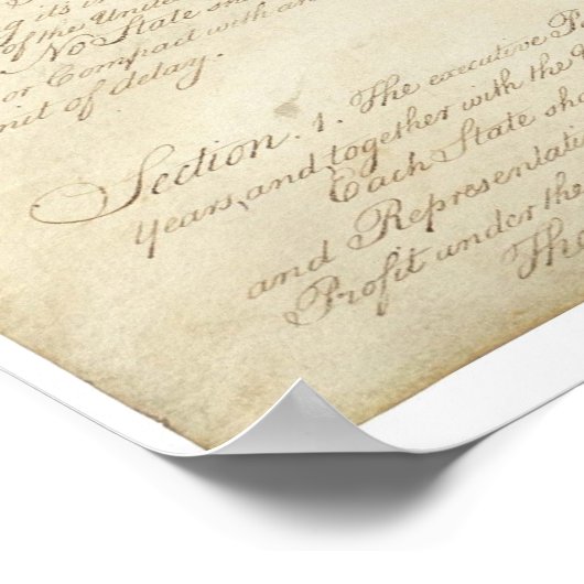 Poster US. Page Constitution 2 (Coin)