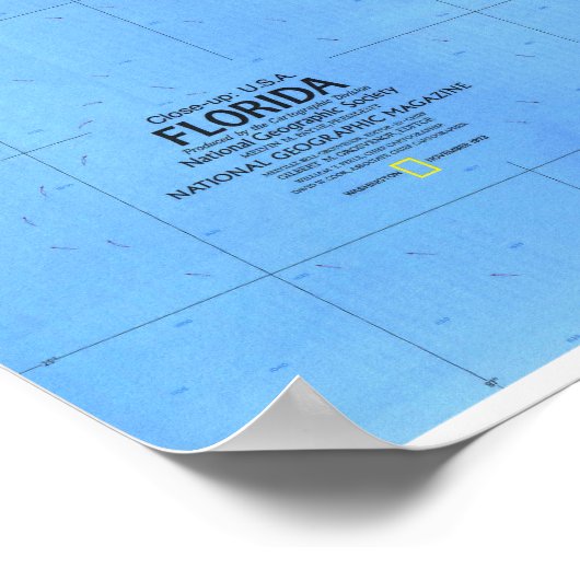 Poster " USA : 1973 Floride détaillée MAP ... (Coin)