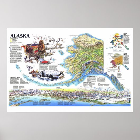 Poster " USA : 1994 ALASKA carte avec animaux ... (Devant)