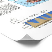 Poster " USA : 1995 Hawaii Redécouvrir Carte ... (Coin)