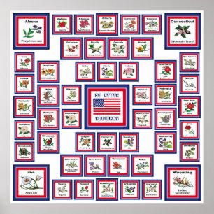 POSTER USA 50 FLEURS D'ÉTAT BLANC/559