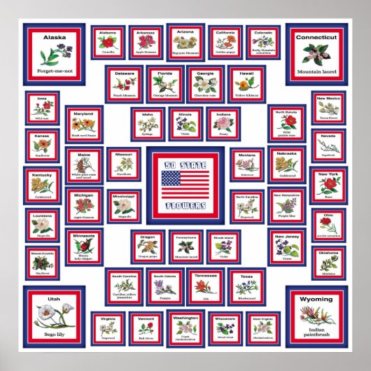 POSTER USA 50 FLEURS D'ÉTAT BLANC/559 (Devant)